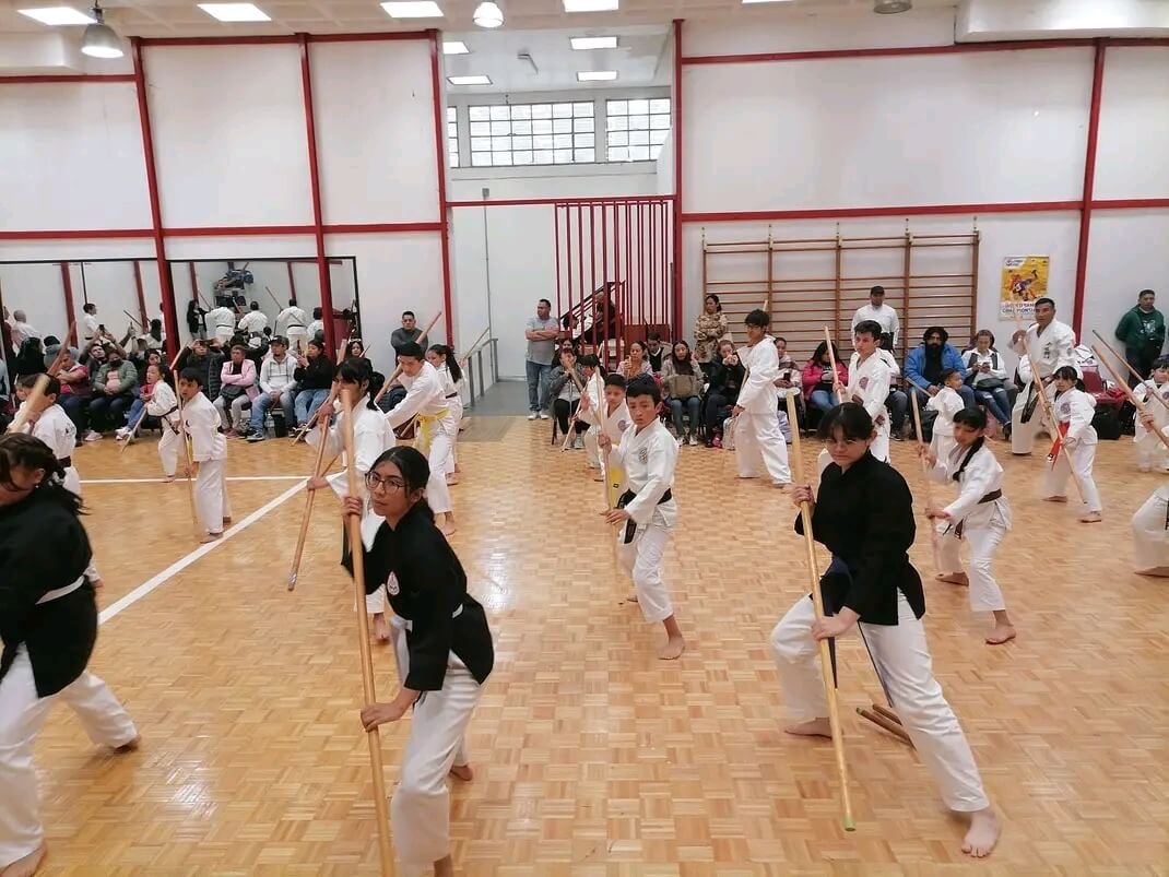 Karate infantil CDMX
