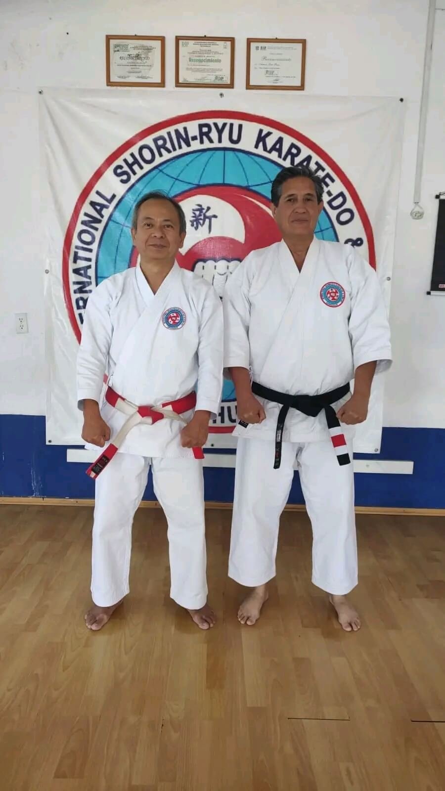 Maestros de karate CDMX